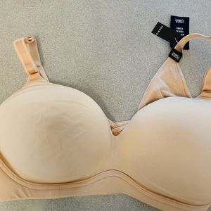 Torrid curve pushup bra